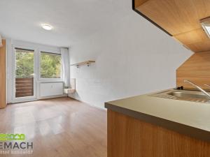 Prodej bytu 1+kk, Všemina, 25 m2