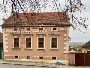 Prodej rodinného domu, Čečelice, Všetatská, 1000 m2