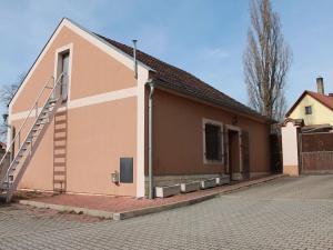 Prodej rodinného domu, Čečelice, Všetatská, 1000 m2