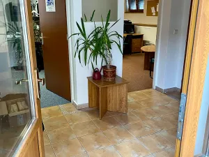 Prodej rodinného domu, Čečelice, Všetatská, 1000 m2