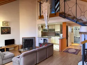 Prodej bytu 3+kk, Praha - Vinohrady, Šumavská, 107 m2