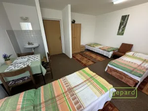 Prodej ubytování, Český Krumlov - Nové Spolí, Tichá, 800 m2