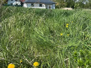 Prodej pozemku pro bydlení, Svojetice, 1000 m2