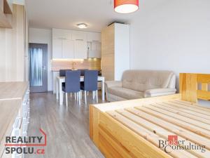 Pronájem bytu 1+kk, Praha - Horní Měcholupy, Nad přehradou, 36 m2