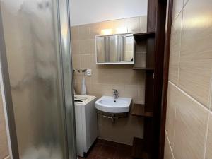 Pronájem bytu 2+1, Opava, Olomoucká, 57 m2