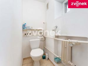 Prodej rodinného domu, Uherské Hradiště - Jarošov, Na Kopečku, 111 m2