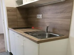Pronájem bytu 1+kk, Teplice - Trnovany, Antonína Sochora, 24 m2