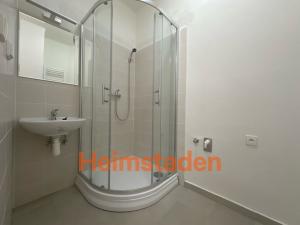 Pronájem bytu 1+1, Ostrava - Mariánské Hory, U Dvoru, 41 m2