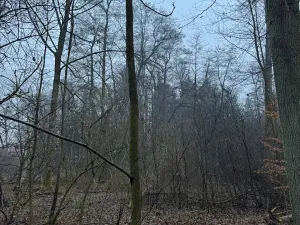 Prodej pozemku, Třebechovice pod Orebem, 14875 m2
