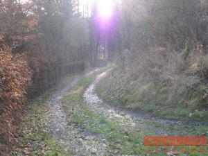 Prodej pozemku, Chocerady - Samechov, 16276 m2