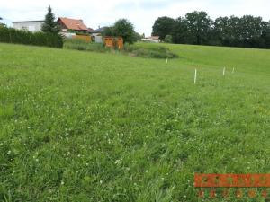 Prodej pozemku pro bydlení, Újezd u Chocně - Chloumek, 1000 m2