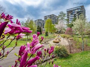 Pronájem bytu 2+kk, Praha - Žižkov, Malešická, 98 m2