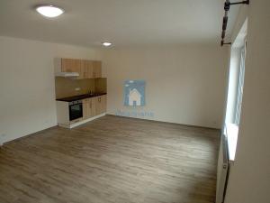 Pronájem bytu 1+kk, Plzeň, Rejskova, 45 m2