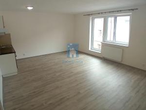 Pronájem bytu 1+kk, Plzeň, Rejskova, 45 m2