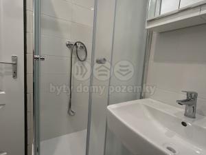 Pronájem bytu 1+kk, Ústí nad Labem - Ústí nad Labem-centrum, Hoření, 22 m2