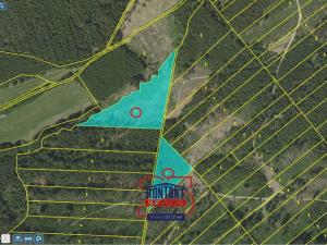 Prodej lesa, Jevíčko, 70821 m2