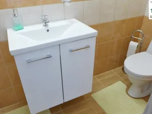 Prodej rodinného domu, Chodová Planá, Pohraniční stráže, 301 m2