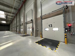 Pronájem výrobních prostor, Údlice, Droužkovická, 20000 m2