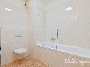 Pronájem bytu 1+kk, Brno, Vodní, 60 m2