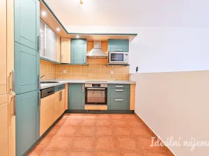 Pronájem bytu 1+kk, Brno - Staré Brno, Vodní, 60 m2