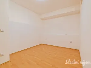 Pronájem bytu 1+kk, Brno - Staré Brno, Vodní, 60 m2