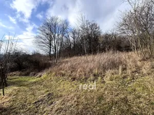 Prodej zahrady, Kroměříž - Zlámanka, 8821 m2