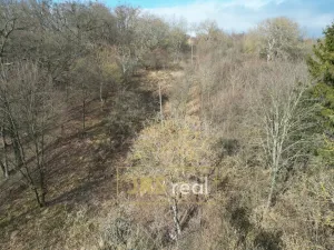 Prodej zahrady, Kroměříž - Zlámanka, 8821 m2