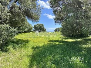 Prodej komerčního pozemku, Kefalonia, Leivathos, Řecko, 20000 m2