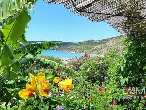 Prodej rodinného domu, Kefalonia, Eleios-Pronnoi, Řecko, 260 m2