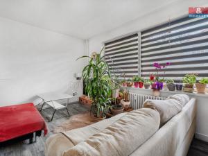 Prodej bytu 1+1, Dolní Poustevna, Vilémovská, 31 m2