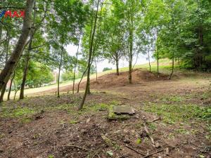 Prodej pozemku pro bydlení, Ústí nad Labem, šumavská, 4621 m2