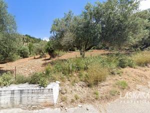 Prodej pozemku, Ostrov Kefalonia, Erissos, Asos, Řecko, 5000 m2