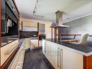 Prodej rodinného domu, Srubec, Ke Hřišti, 282 m2