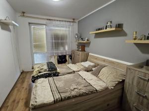 Prodej bytu 2+kk, Ostrava - Hrabůvka, 48 m2