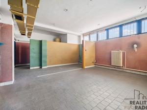 Prodej restaurace, Řečany nad Labem, 1. máje, 320 m2