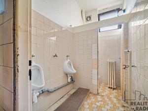 Prodej restaurace, Řečany nad Labem, 1. máje, 320 m2