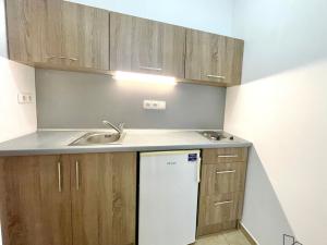 Pronájem bytu 2+kk, Olomouc, Březinova, 52 m2