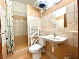 Pronájem bytu 2+kk, Olomouc, Březinova, 52 m2