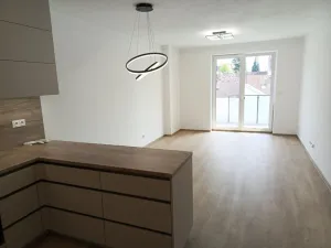 Pronájem bytu 2+kk, České Budějovice - České Budějovice 3, Riegrova, 64 m2