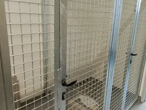 Pronájem bytu 2+kk, České Budějovice - České Budějovice 3, Riegrova, 64 m2