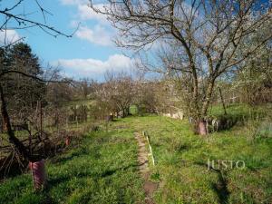 Prodej chaty, Hostěrádky-Rešov, 27 m2