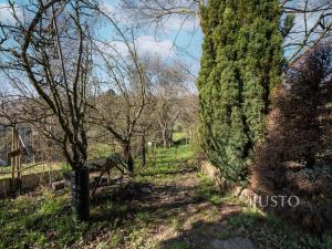 Prodej chaty, Hostěrádky-Rešov, 27 m2