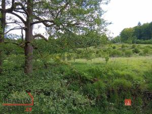 Prodej pozemku pro bydlení, Janská, 22894 m2