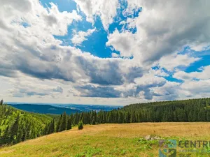 Prodej ubytování, Strážné, 1087 m2
