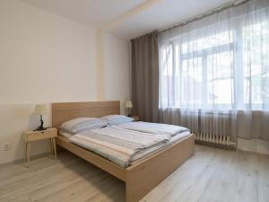Pronájem bytu 1+kk, Praha - Nové Město, Na zbořenci, 27 m2