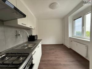 Pronájem bytu 3+1, Litvínov - Chudeřín, Horská, 58 m2