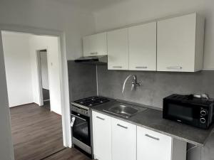 Pronájem bytu 3+1, Litvínov - Chudeřín, Horská, 58 m2