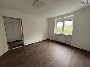 Pronájem bytu 3+1, Litvínov - Chudeřín, Horská, 58 m2