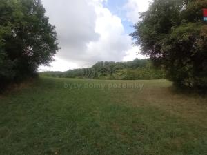 Prodej louky, Jenčice, 16692 m2