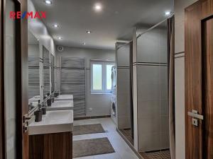 Prodej chalupy, Rataje nad Sázavou, 240 m2